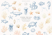Under The Sea Collection, an Animal Illustration by PeDe Designs (Thumbnail 4 of 7)