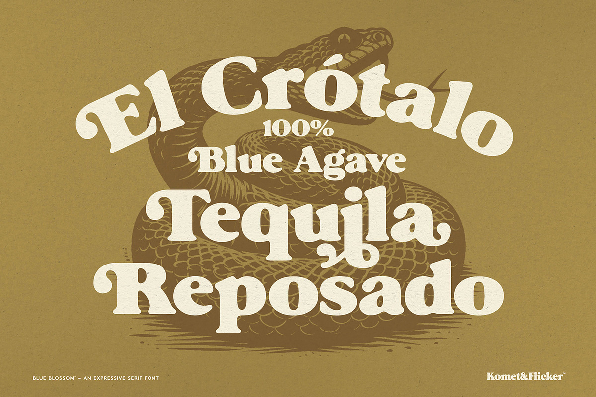 Blue Blossom - An Expressive Font, a Serif Font by Komet & Flicker (Photo 11 of 15)