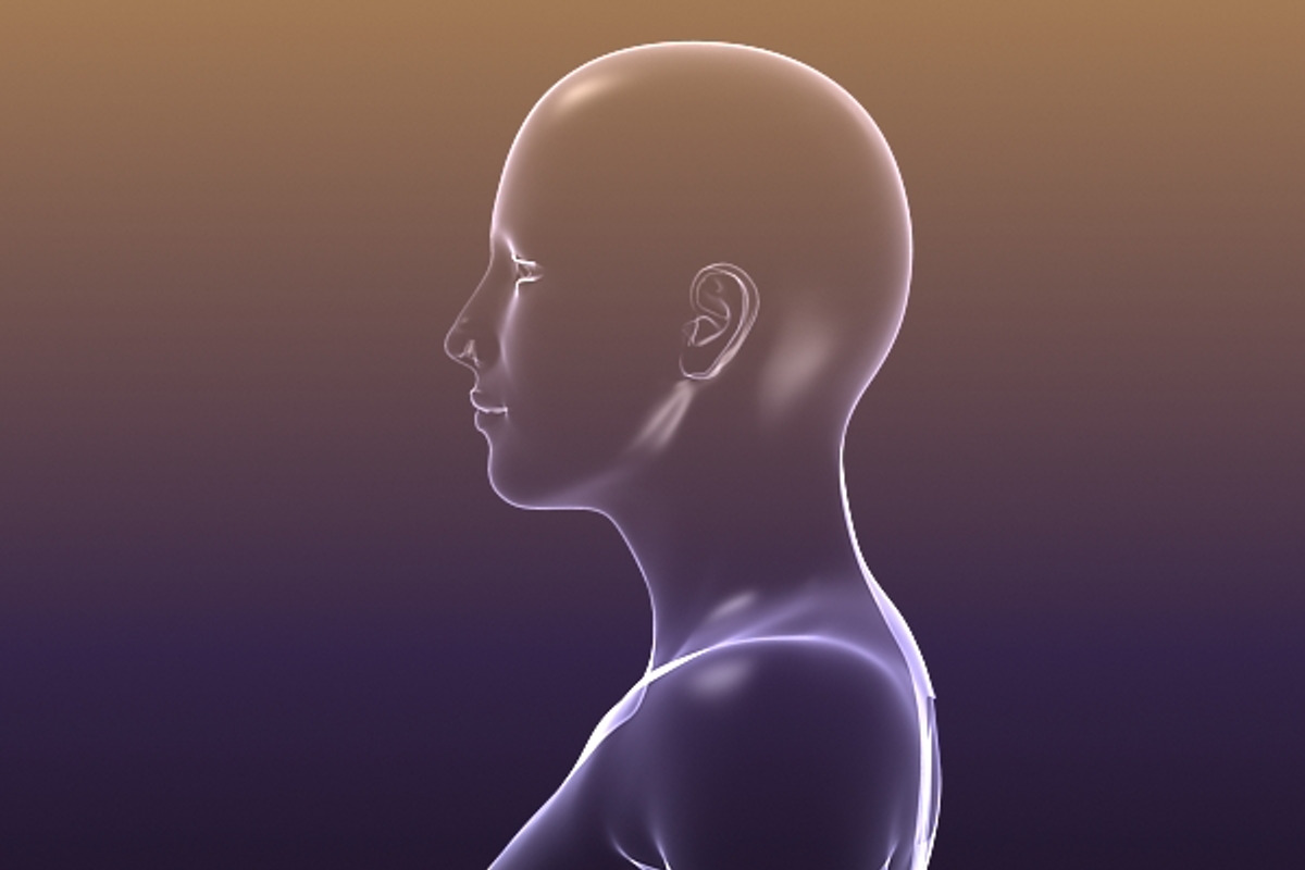 Male And Female Anatomy X-ray Bodies, a Characters & Person 3D Model by VisualCG (Photo 7 of 15)