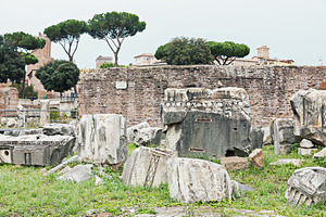Antique Roman forum in Rome, an Architecture Photo by BOOCYS