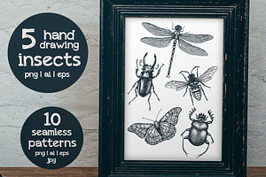 5 Hand-drawn Insects & Patterns