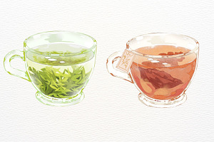 Drink Illustration Set