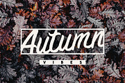 Brashed Typeface, a Script Font by giemons™ (Thumbnail 3 of 5)