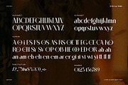 Mesko Ligature Serif Font, a Serif Font by Perfectype (Thumbnail 7 of 8)