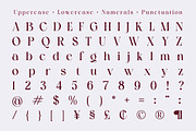Soratruth - Modern Elegant Luxury, a Serif Font by Qweera Studio (Thumbnail 12 of 12)