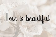 Danilla - Beautiful Handwritten, a Handwritten Font by Letterayu Studio (Thumbnail 5 of 6)