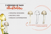 Woodland Mushroom Watercolors, an Illustration by plaidGecko (Thumbnail 3 of 8)
