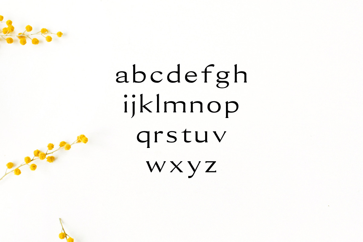 Erynn Serif Font preview 3