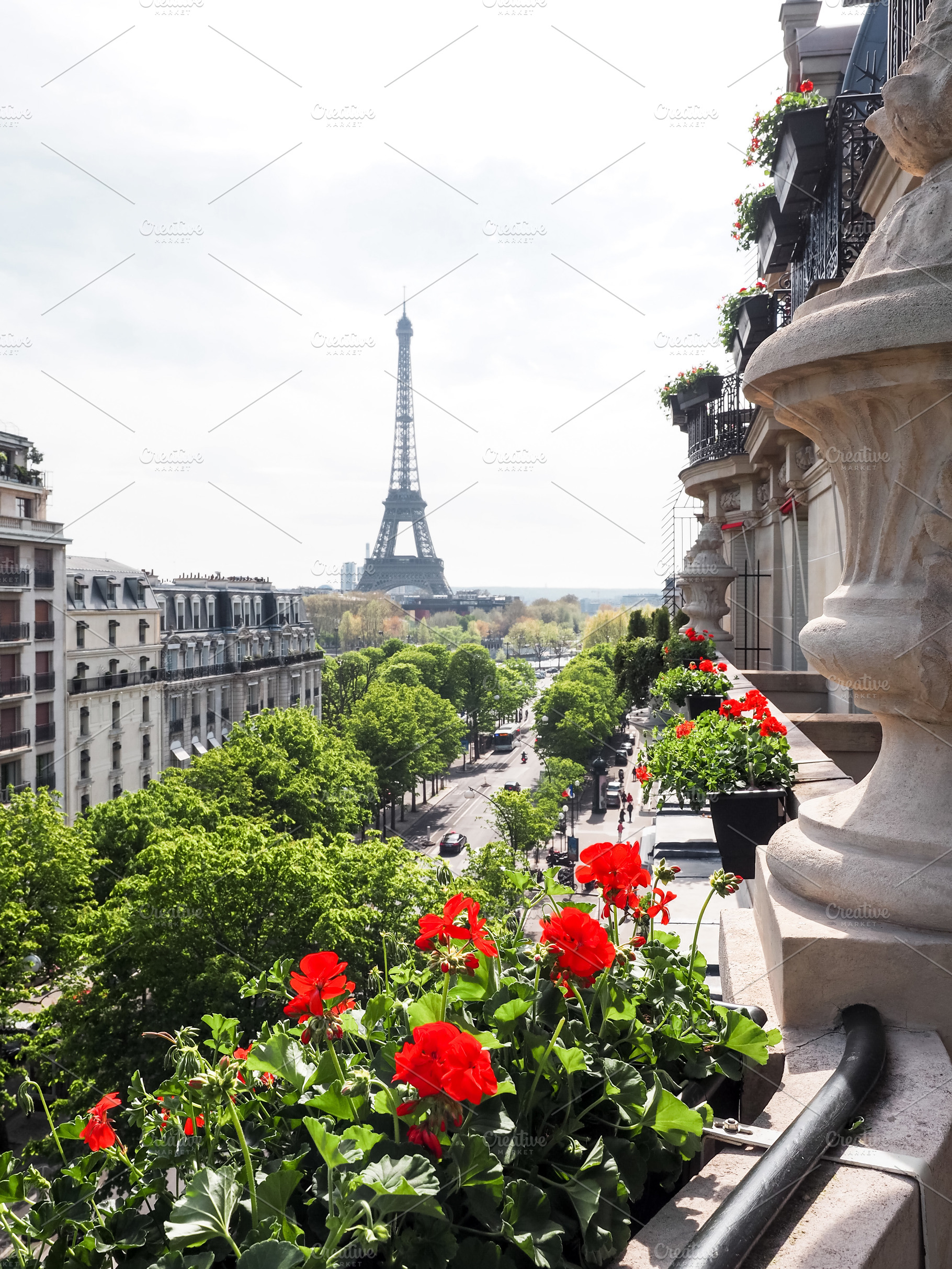 Paris in Spring, a Photo by Peonies & Paris