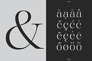 Dupioni - 6 font family, a Serif Font by Silktype (Thumbnail 17 of 21)
