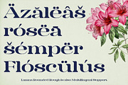 Lamna Rounded Rough, a Serif Font by Craft Supply Co. (Thumbnail 7 of 8)