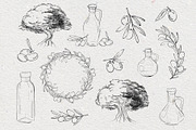 Olives & olive oil sketches, vector, a Food Illustration by harmonia_green_art (Thumbnail 2 of 9)