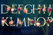 Elysian Floral Collection, an Illustration by Eclectic Anthology (Thumbnail 4 of 15)
