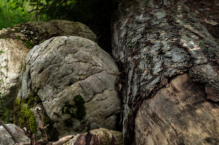 texture of stones. big rocks in the mountains.wood texture