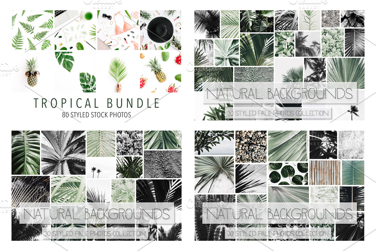 98% OFF | Tropical Bundle | 170 IN 1, a Photo by Floral Deco (Photo 2 of 14)