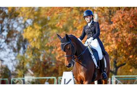Teenage girl riding horse on, a Sports & Recreation Photo by serkum