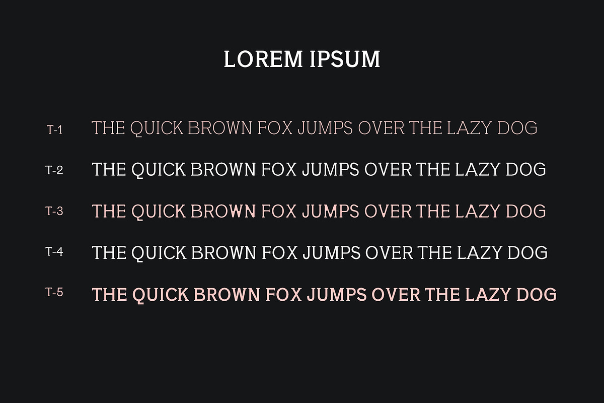 Yahya Slab Serif Font Family preview 4