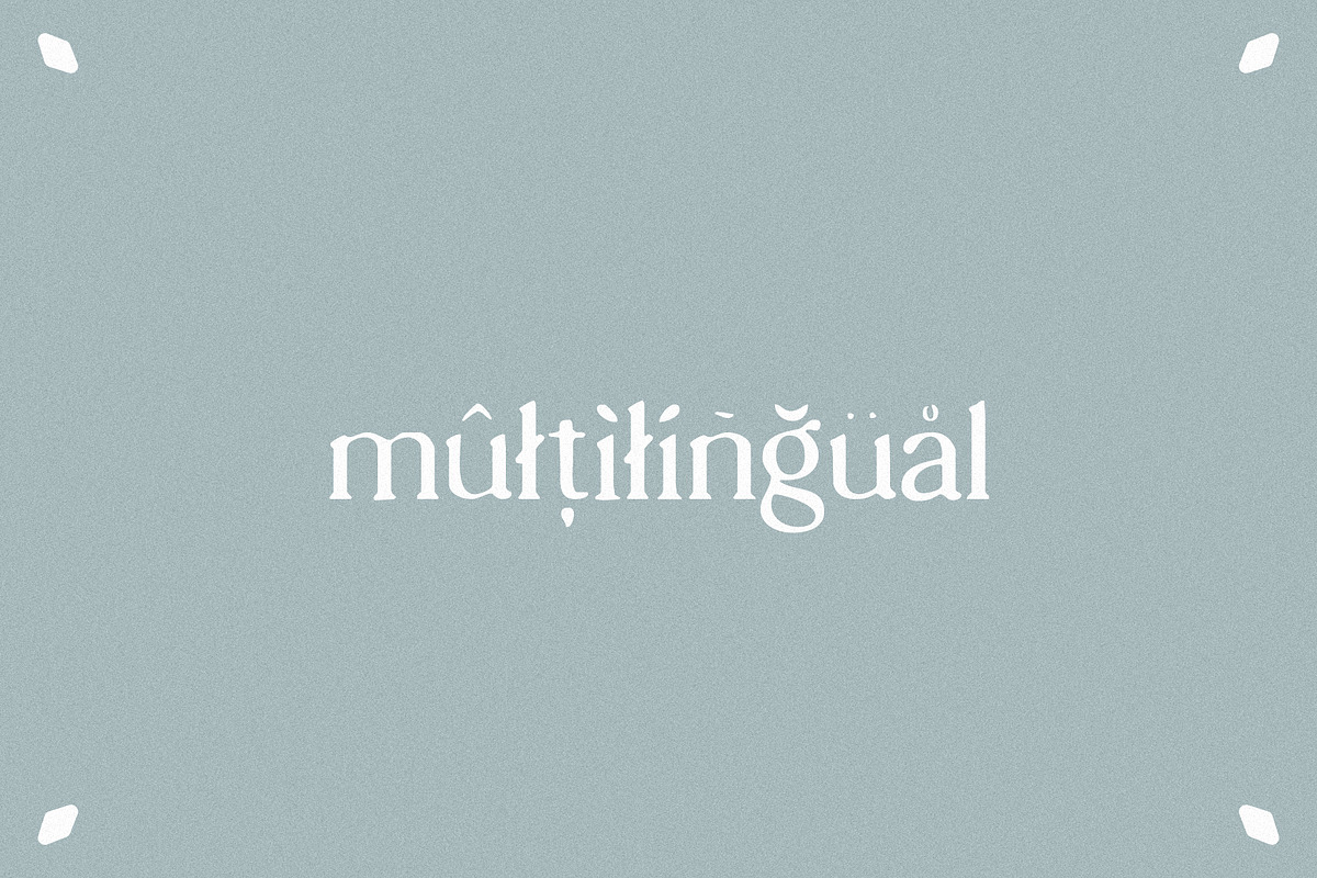 hawk sight - vintage serif, a Serif Font by Mikhail Fukurou (Photo 8 of 8)