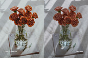 Fuji FP 100C IV, a Preset Add-On by colorituals (Thumbnail 8 of 9)