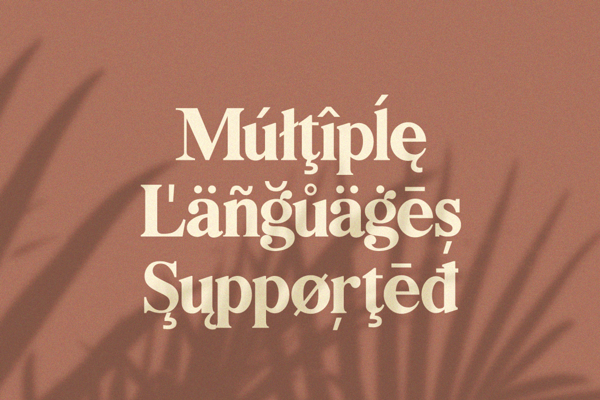 Bilingual Serif Font Duo, a Serif Font by Salt & Pepper Designs (Photo 11 of 13)