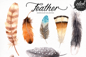 Feather Watercolor Collection