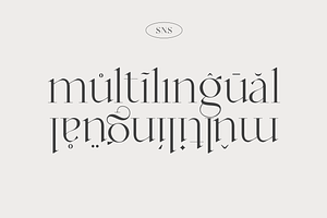 Mango - Modern Serif