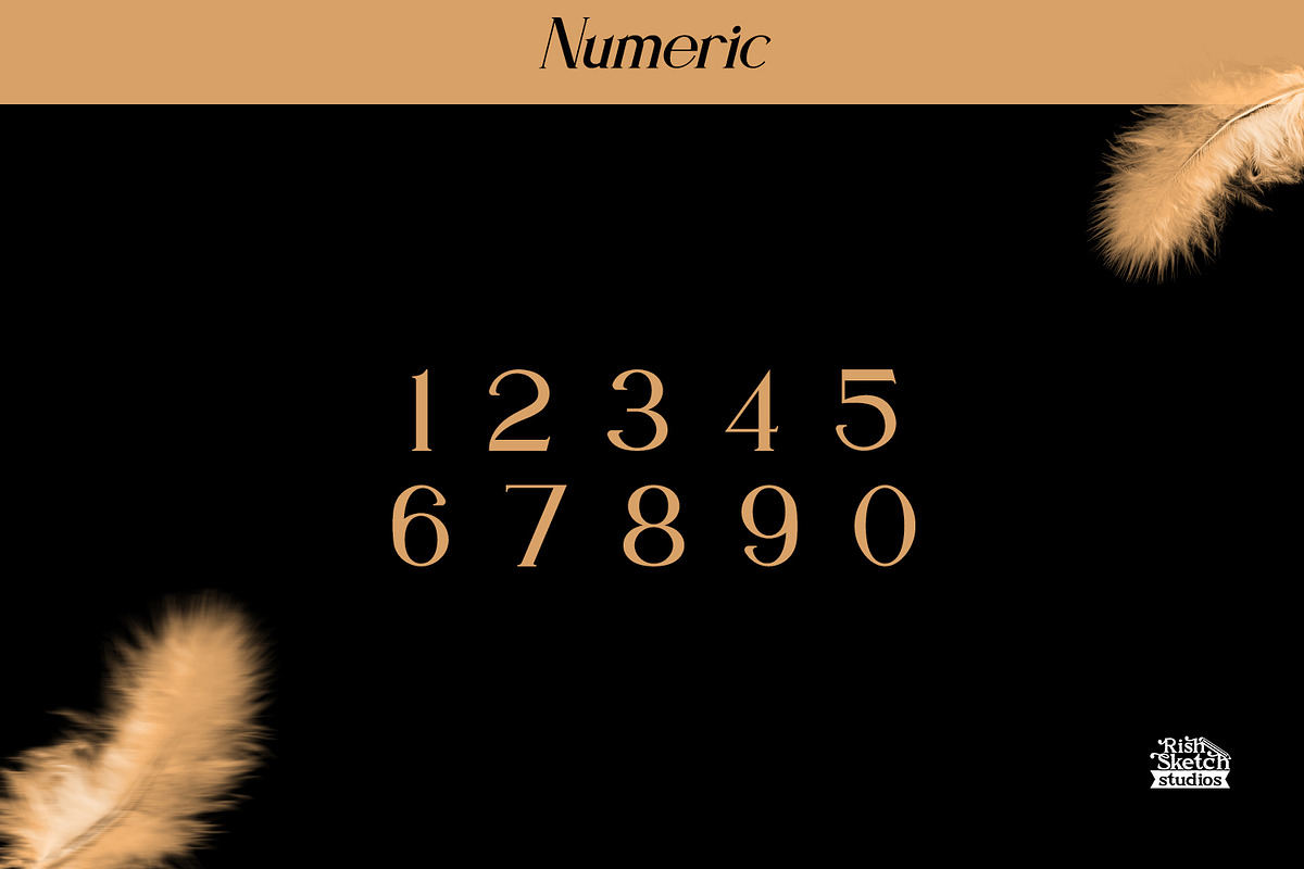 Danderain, a Serif Font by Rishsketch (Photo 10 of 13)