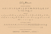 Sally Morrison Script & Serif, a Script Font by BlueRobinDesignShop (Thumbnail 21 of 22)