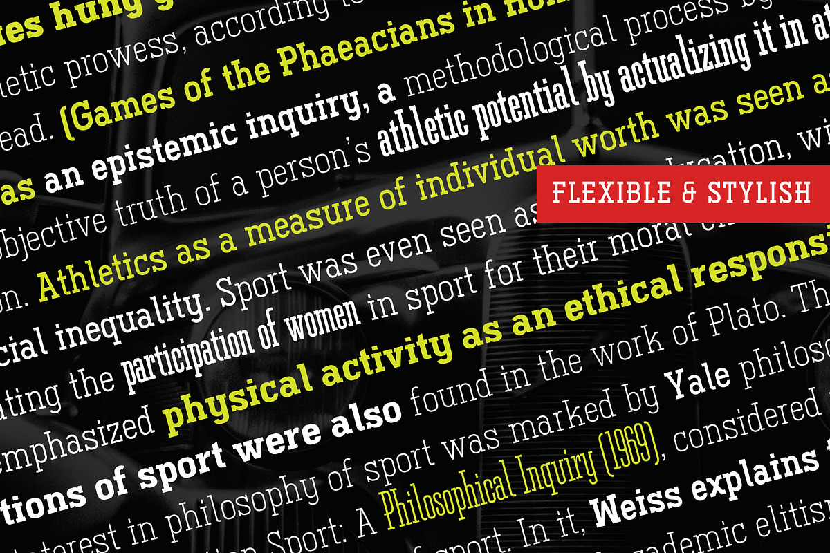 Ferguson Slab Font Family, a Slab Serif Font by Arterfak Project (Photo 6 of 10)