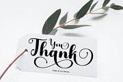 Berliona, a Script Font by TM Type (Thumbnail 10 of 10)