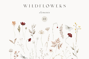 Wildflowers Watercolor Wild Botany