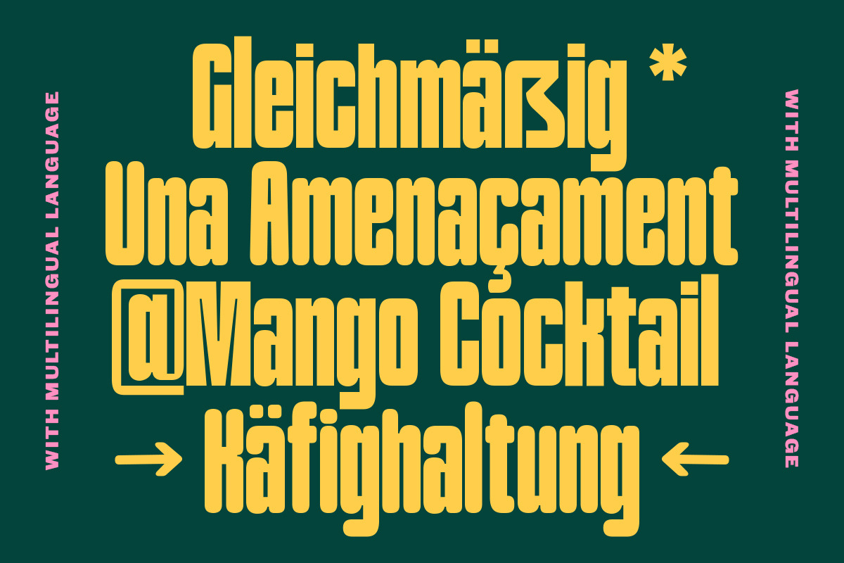 TNSC Bashin - Condensed Sans Serif, a Sans Serif Font by The Native Saint Club (Photo 6 of 12)
