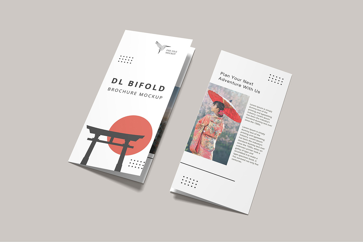 DL Bifold Brochure Mockup