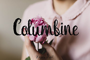 Columbine Script + bonus, a Script Font by Carola-Corujan (Thumbnail 1 of 7)