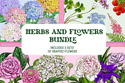 Flowers Illustration Bundle, a Decorative Illustration by Schumacher Shop (Thumbnail 1 of 18)