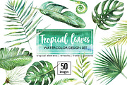 BUNDLE Whole Shop Watercolor Floral, a Decorative Illustration by Veris Studio (Thumbnail 25 of 28)