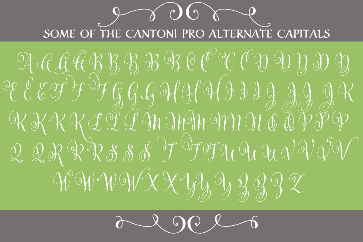 Cantoni Pro Hand Lettered Font, a Script Font by Debi Sementelli (Photo 2 of 4)