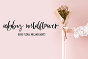 Looking Glass Script, a Script Font by Beck McCormick (Thumbnail 3 of 10)