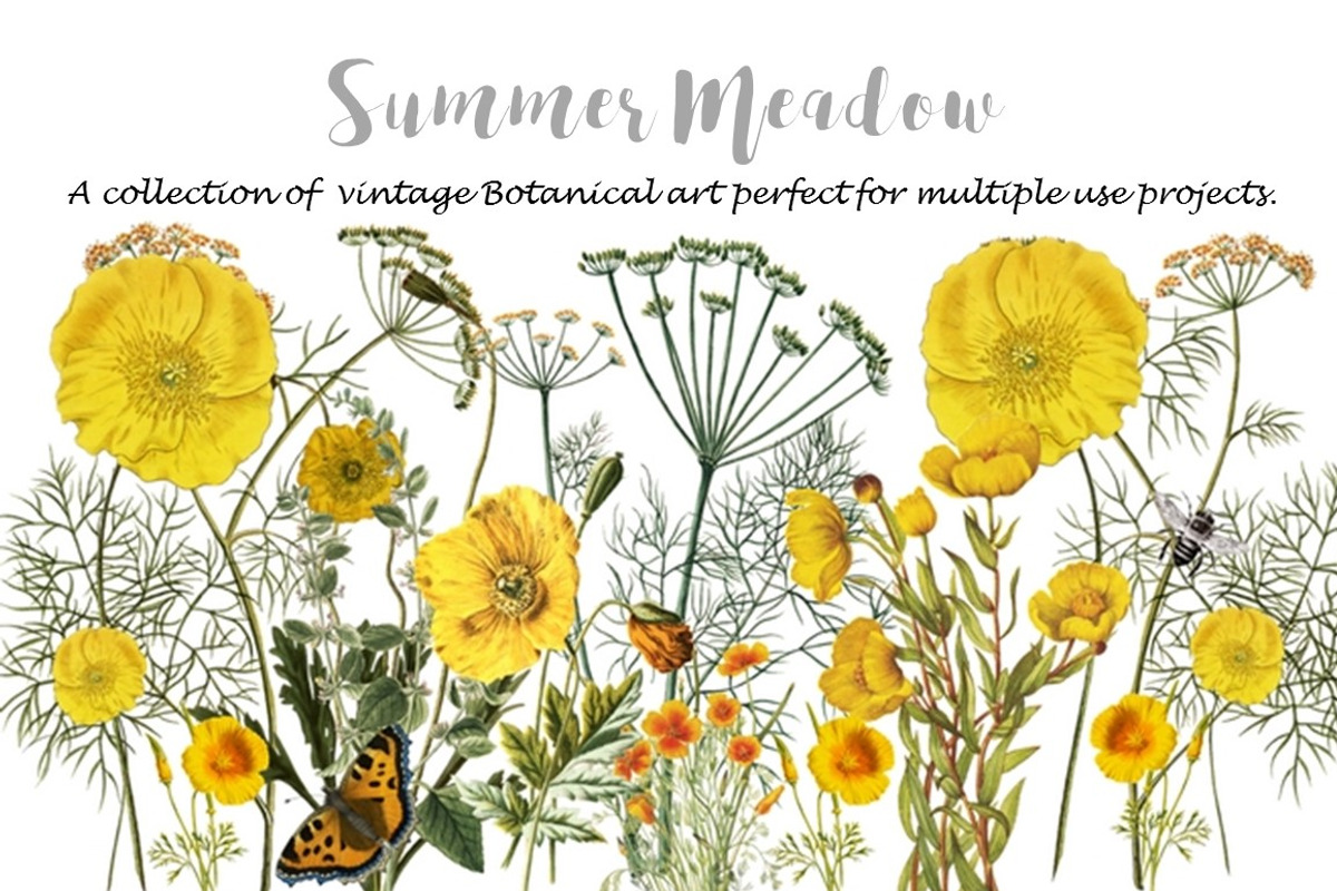 SUMMER MEADOW, an Invitation Template by Ginger Duck Graphics (Photo 1 of 5)