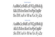 Randion, a Serif Font by StudioRhd (Thumbnail 12 of 14)