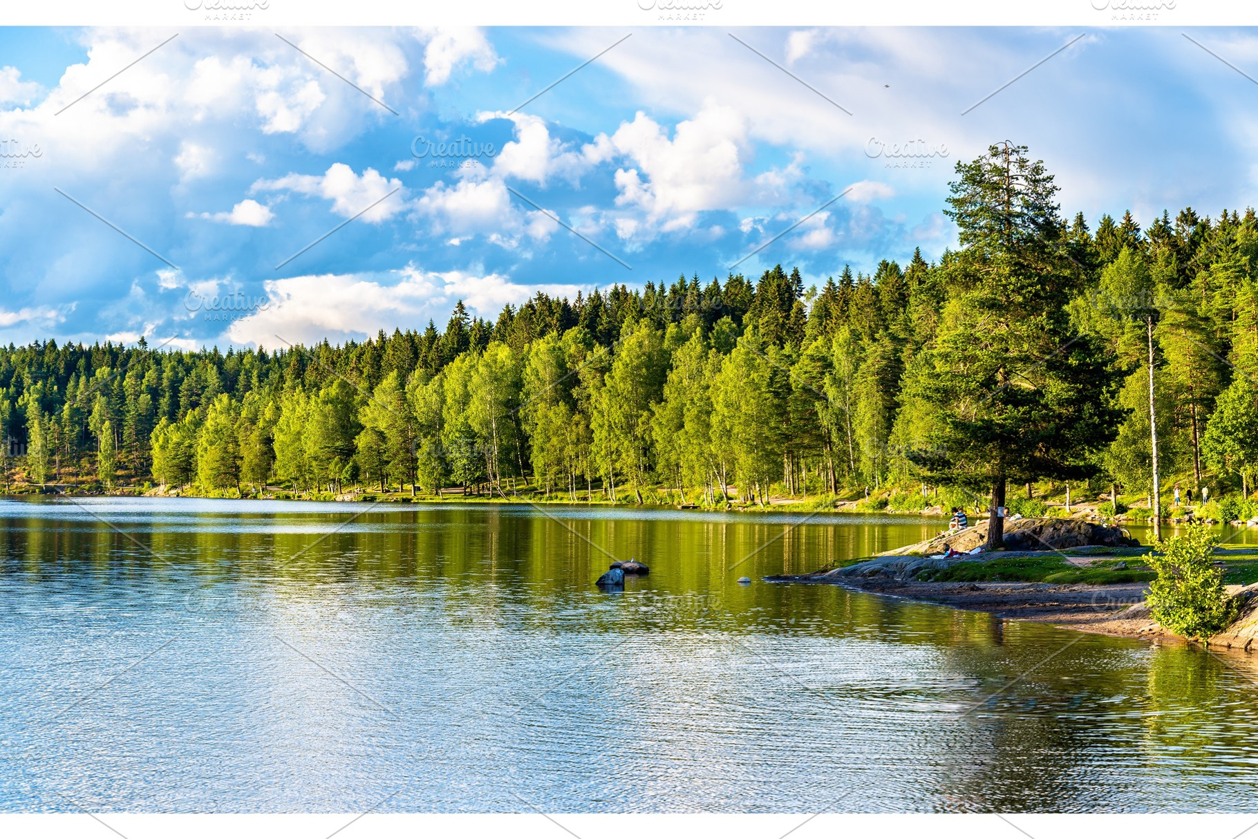 Sognsvann lake north of oslo containing lake, sognsvann, and nature, a Nature Photo by Leonid Andronov