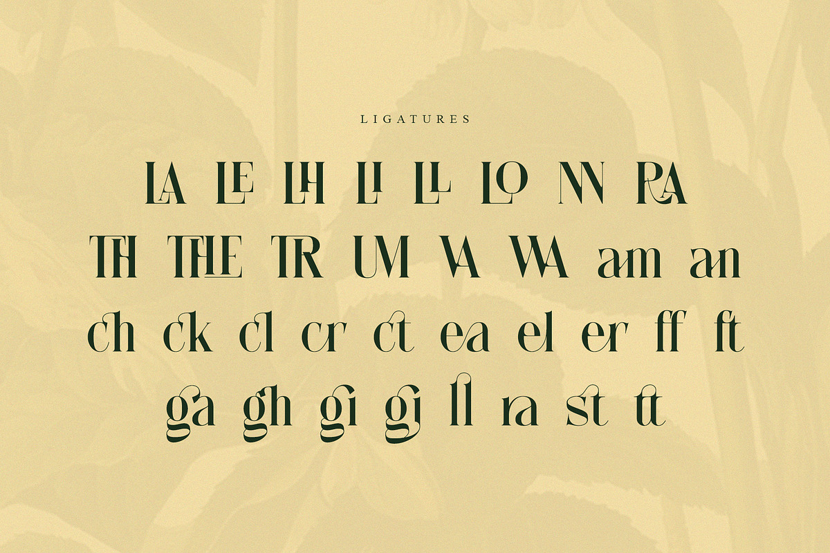 Anzelie – Elegant Stylish Serif, a Serif Font by Almeera Std (Photo 7 of 10)