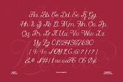 Hello Marie - Modern Calligraphy, a Script Font by Qweera Studio (Thumbnail 10 of 12)