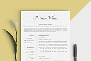 Modern Resume Template, a Resume Template by Comely Design Studio (Thumbnail 1 of 4)