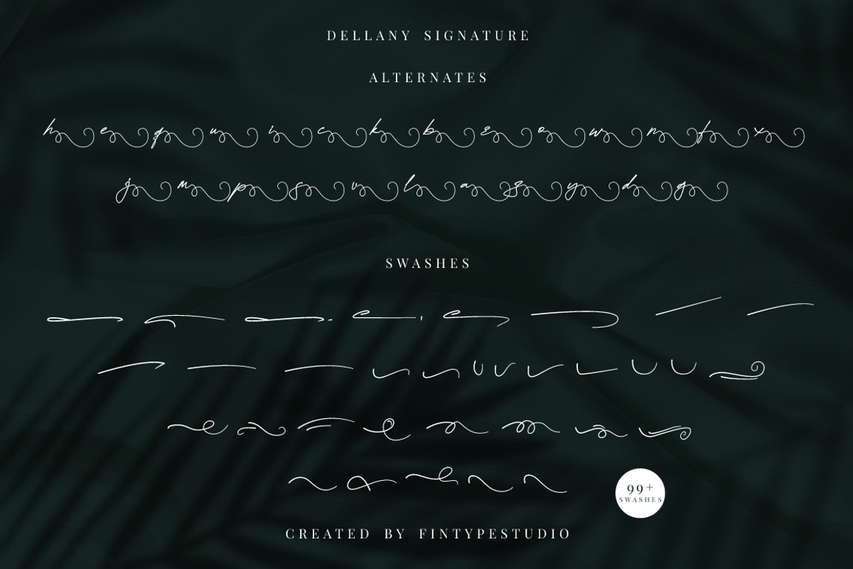 Dellany Signature Business Font, a Script Font by KennedyStudio (Photo 8 of 9)