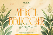 Chatos Original, a Serif Font by Burntilldead (Thumbnail 11 of 11)