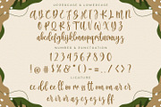 Britany Queens - Handwritten Font, a Script Font by StringLabs (Thumbnail 10 of 11)