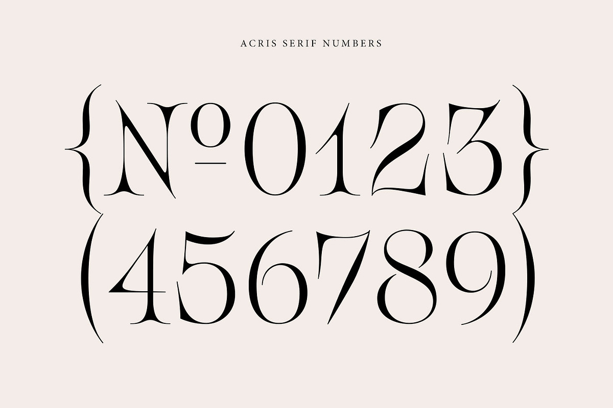 Acris Serif, a Serif Font by Andrey Sharonov (Photo 13 of 16)