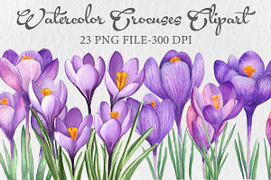 Watercolor Crocuses Clipart, an Illustration by Libby Wishes