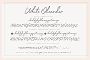 White Oleander Handwritten Font, a Script Font by Nicky Laatz (Thumbnail 16 of 16)